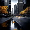 thewolrd19