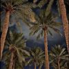 edv_174