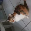 elzacatarinadenardi