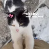 chaarlet