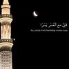 shams24589