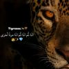 hadjira.ninette267