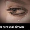viorelvio363