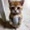 pussinbootsandme2