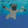 pug_pug1