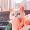 fatma_elemine02