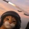 kittyposter_oreo_2.0