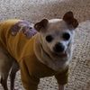 usertammy_dearman_hudson