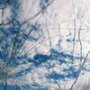 ftooma_022