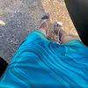 original_shantii