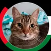 catfonso