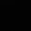 l._21l
