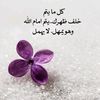 mmg__44