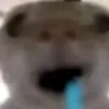 flopdxdienx