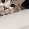 twnty.7
