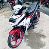 25_zull