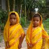mominulhok04