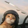 dellbietai111