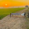 ali.haider.5766