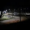 janes_romanesc