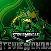 steviewondas