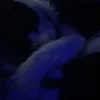 a.