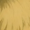 uservnrboy2l40