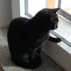 turinturamba