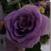 asasa.43