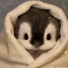 tientn_