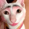 dykeonbyke
