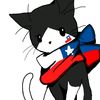 nani_and_cat