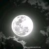 maraimmohamad2