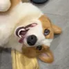 kskoakxkdjcj