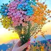 user197757398008