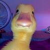 edits_and_slideshow