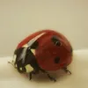 r4ffaella_0
