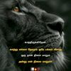 user3790594651220
