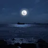 hai_lua92