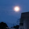 moon_dodo3