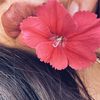 ifartprettypinkglitter