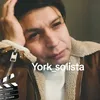 york_solistaarte