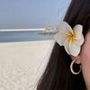 eng.fatima.b