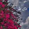 user8522299680212