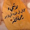 raafi8087