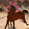 jshgsuskj_uwuwowlwka