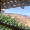 shaha_1444