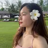 momo_beo