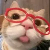 meow.meowxn
