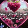 user7301495661082